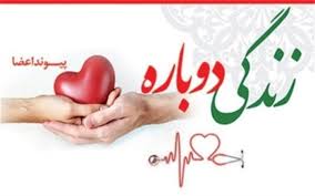 کودک خردسال مرگ مغزی به 5 بیمار نیازمند عضو زندگی دوباره بخشید