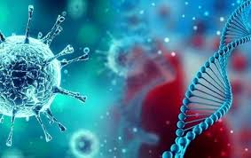 000188.jpg - 9.62 kB