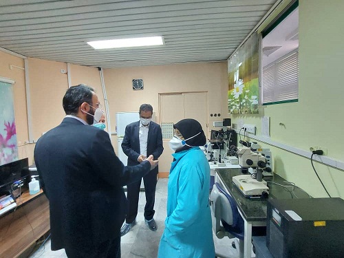 000117.jpg - 72.20 kB