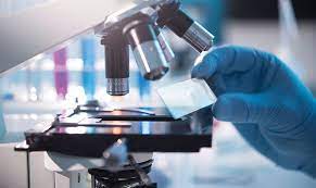 000226.jpg - 7.29 kB