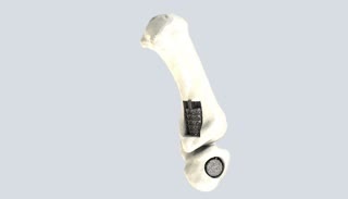 409.jpg - 4.28 kB