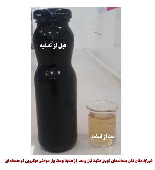 303.jpg - 39.03 kB