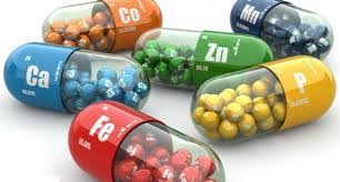 00234.jpg - 10.28 kB