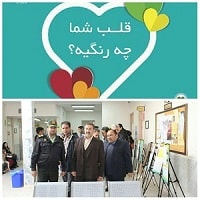 برپایی ایستگاه های خطر سنجی بیماری های قلب و عروقی در شبکه بهداشت و درمان فریمان