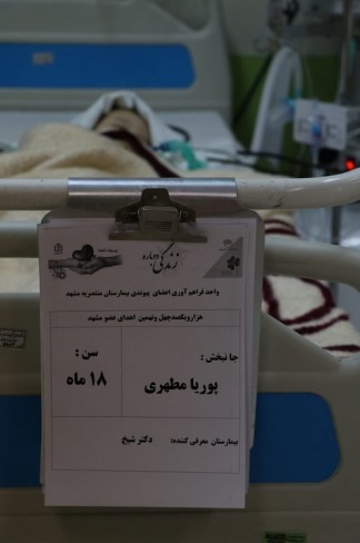 305.jpg - 66.28 kB