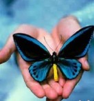 Ø§ÙØ¯Ø§Û Ø¹Ø¶Ù Ø¨Ù 5 Ø¨ÛÙØ§Ø± Ø²ÙØ¯Ú¯Û Ø¯ÙØ¨Ø§Ø±Ù Ø¨Ø®Ø´ÛØ¯