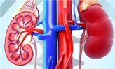 تشخیص به هنگام بیماری دیابت مانع از بروز نارسایی های مزمن کلیوی می شوند