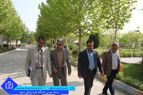 Ø¢Ø²ÙÙÙ Ø¯Ø³ØªÛØ§Ø±Û
