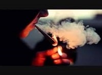 Ø³ÛÚ¯Ø§Ø± Ù ÙÙÛØ§ÙØ Ø¯ÙÙÛÙ Ø¹Ø§ÙÙ Ø¹ÙØª ÙØ±Ú¯ Ù ÙÛØ± Ø¯Ø± Ø¯ÙÛØ§