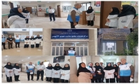 معاون بهداشت دانشگاه علوم پزشکی مشهد از مراکز منتخب خدمات جامع سلامت بازدید کرد