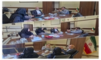 گسترش پژوهش‌های علوم اعصاب در حوزه «امنیت روانی»؛ محور همکاری‌های راهبردی دانشگاه علوم پزشکی مشهد