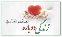 ایثار ماندگار /اهدا عضو در مشهد به 4 بیمار زندگی دوباره بخشید