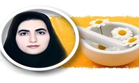 داروسازی سنتی؛ میراث ارزشمند علمی کشور / رتبه دوم داروسازی سنتی کشور از مسیر تحصیل و پژوهش خود می‌گوید