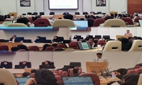 برگزاری کارگاه توجیهی و آموزشی ویژه کارآموزان جدید دانشکده پزشکی مشهد / تسهیل گذار از مرحله تئوری به عرصه بالین