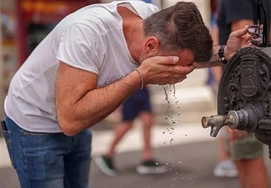 306 