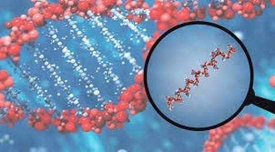 46 
