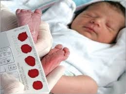 27.jpg - 15.24 kb