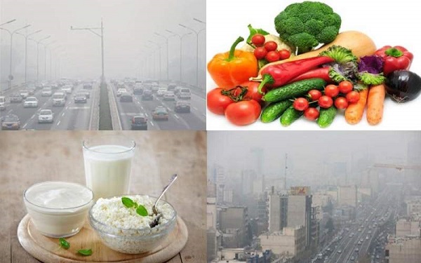 366.jpg - 71.05 kb