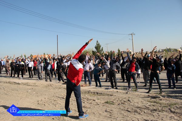 piyadeh ravi 11