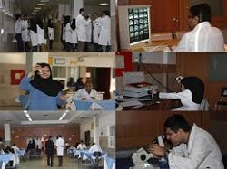 اجرای طرح کشوری رتبه بندی آموزشی(راد) در دانشگاه علوم پزشکی مشهد