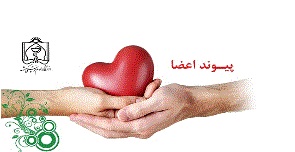 جوان مرگ مغزی به هفت بیمار زندگی دوباره بخشید